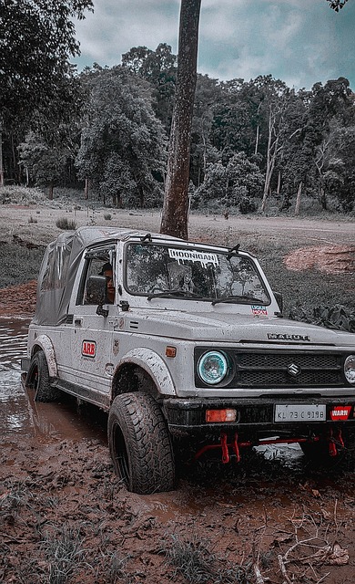 19年世锦 19年世锦