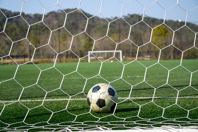 大球迷的热 大球迷的热