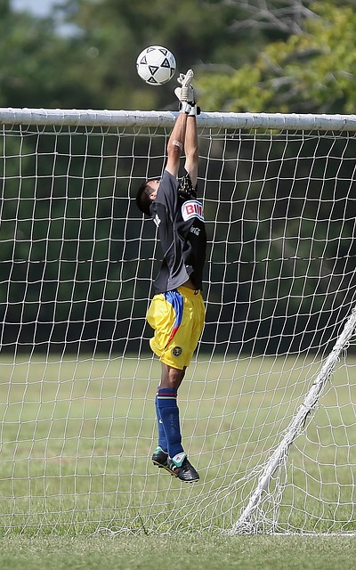 减少利益冲 减少利益冲