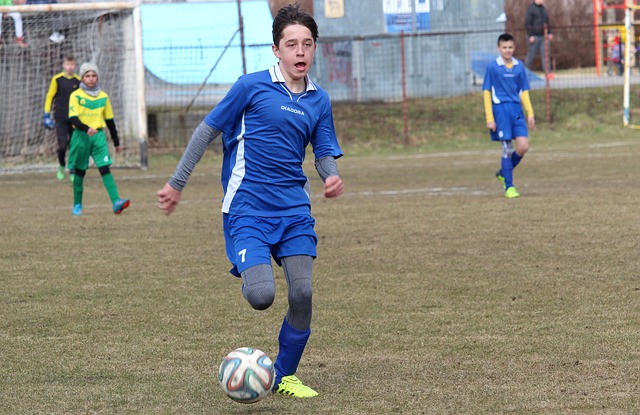 周知的事实 周知的事实