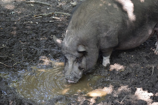 不仅是口号 不仅是口号